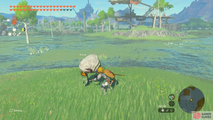 Korok Seed