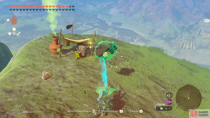 Korok Seed (x2)