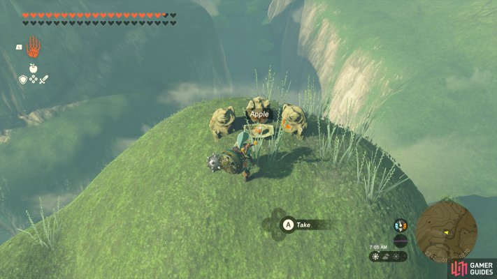 Korok Seed