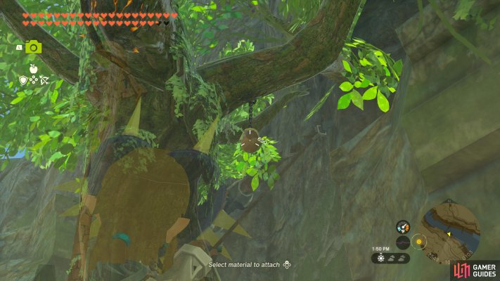Korok Seed