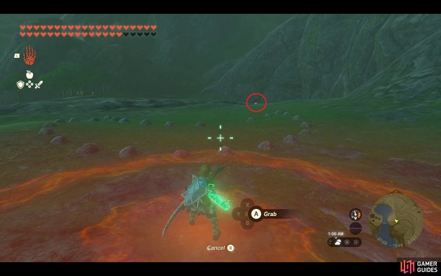 Korok Seed