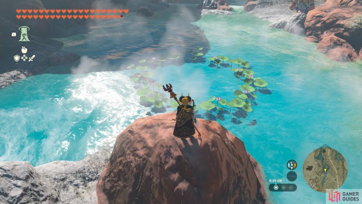 Korok Seed