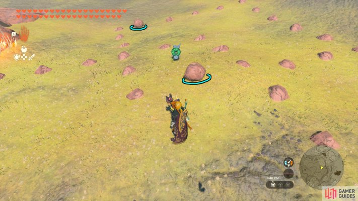 Korok Seed