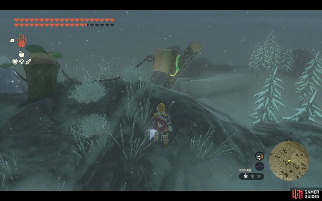 Korok Seed