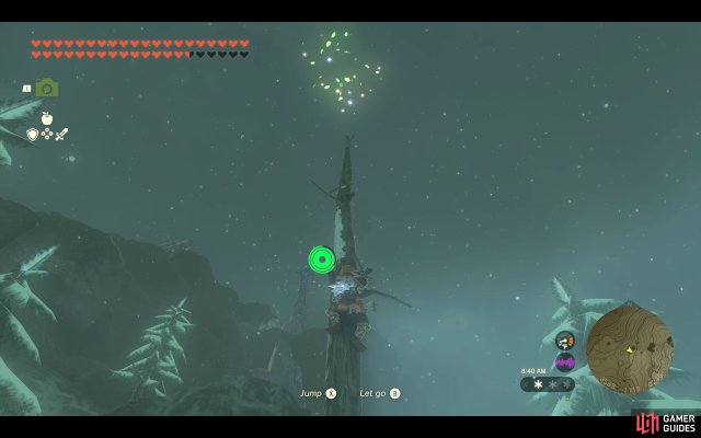 Korok Seed