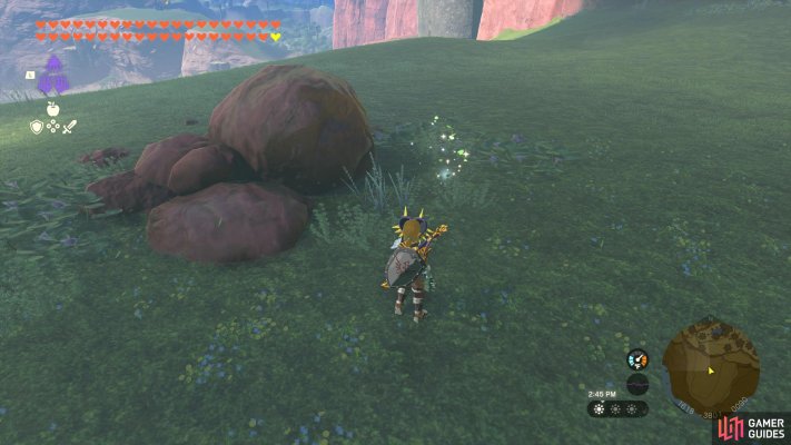 Korok Seed