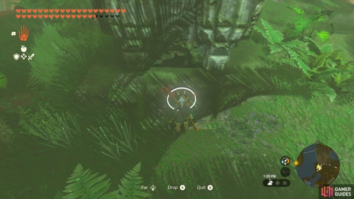 Korok Seed