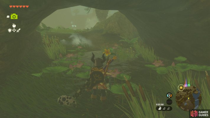 Korok Seed