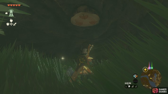 Korok Seed