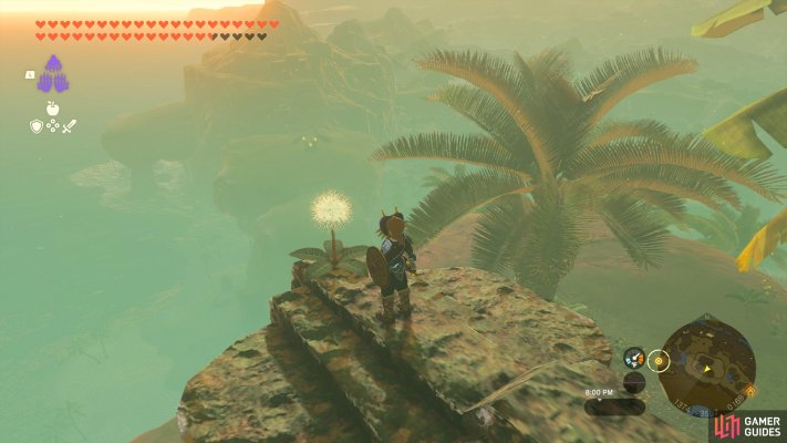 Korok Seed