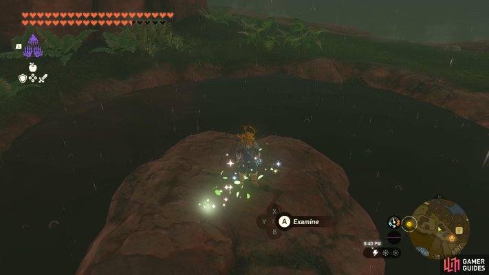 Korok Seed