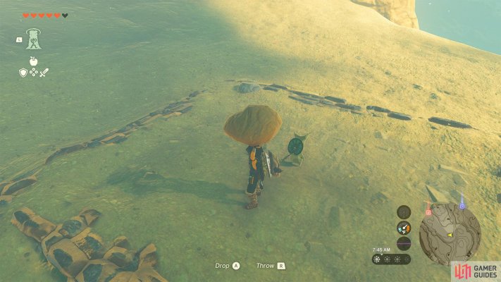 Korok Seed