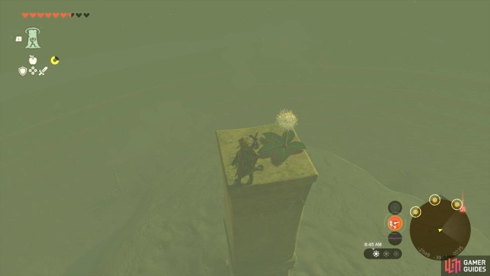 Korok Seed