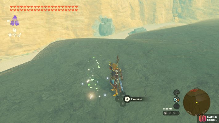 Korok Seed