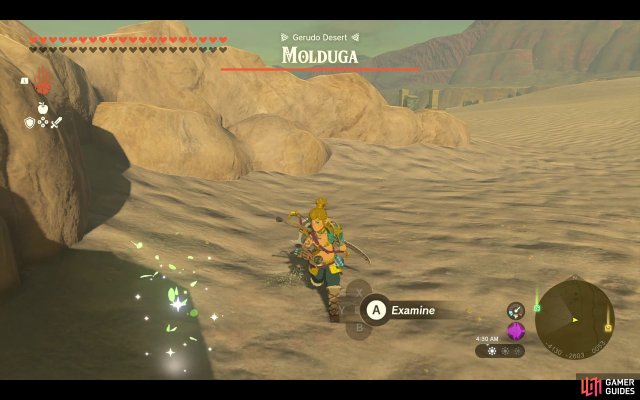 Korok Seed