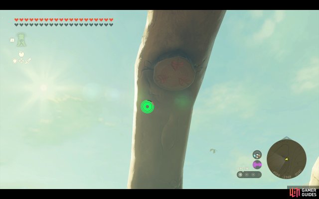 Korok Seed