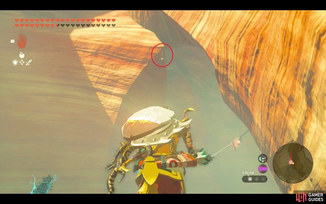 Korok Seed
