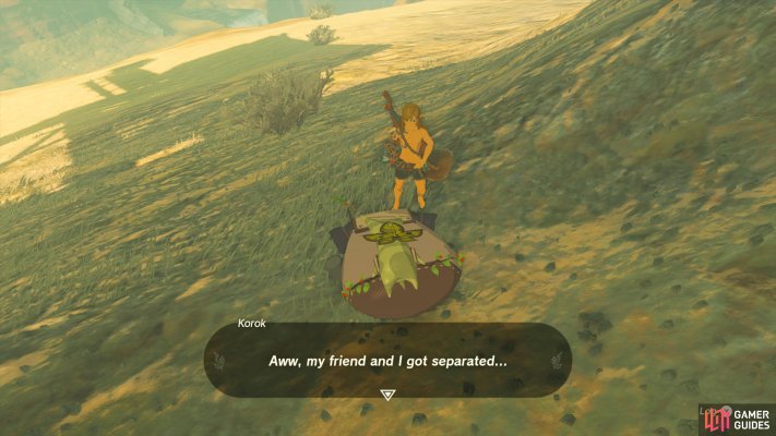 Korok Friends