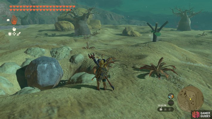 Korok Seed