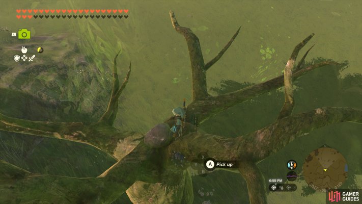 Korok Seed