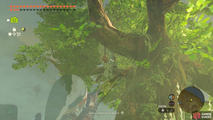 Korok Seed