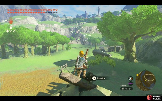 Korok Seed