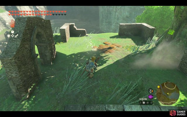 Korok Seed