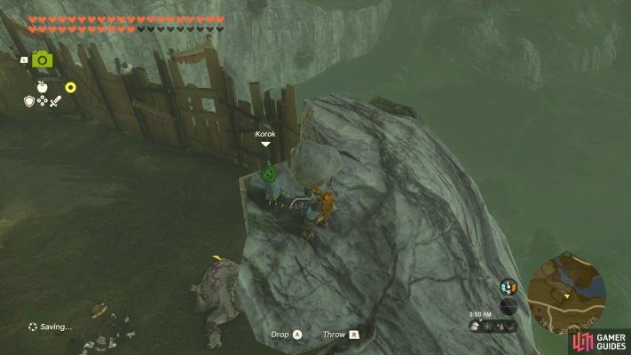 Korok Seed