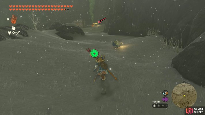 Korok Seed (x2)