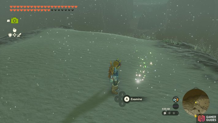 Korok Seed