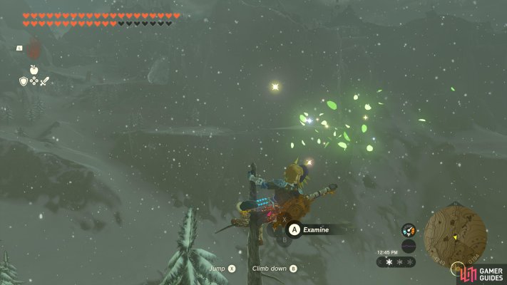 Korok Seed