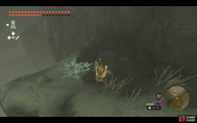 Korok Seed
