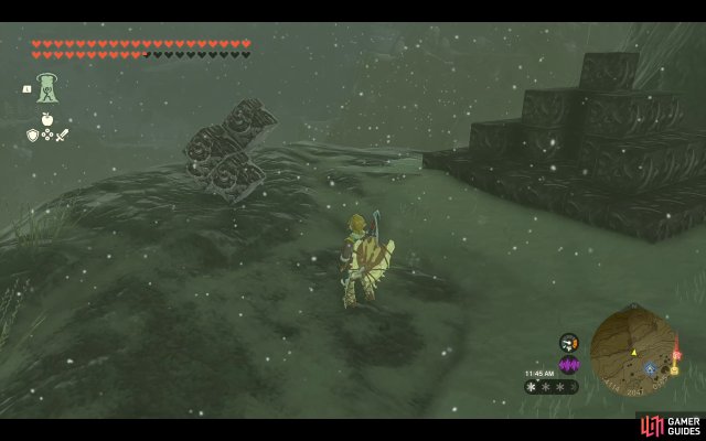 Korok Seed