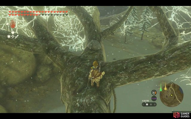 Korok Seed