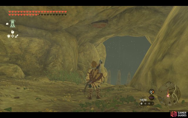 Korok Seed