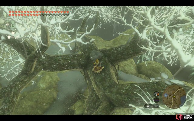 Korok Seed