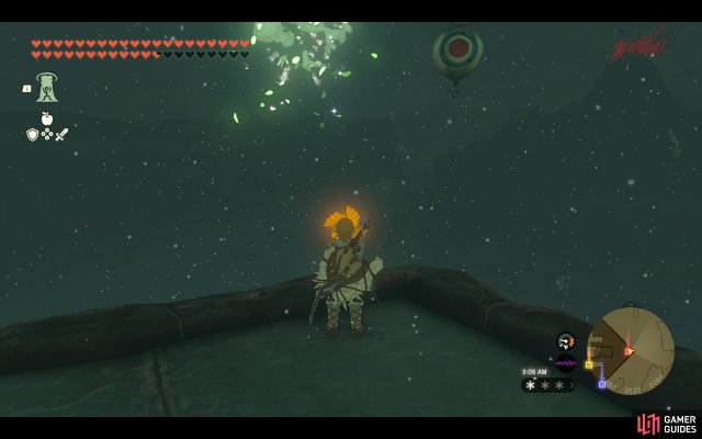 Korok Seed