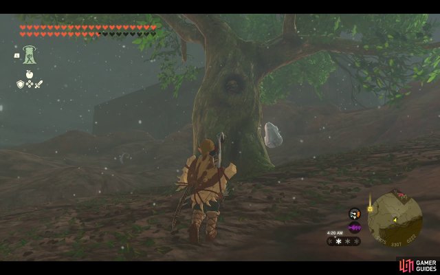 Korok Seed