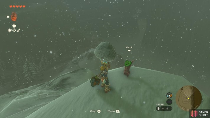 Korok Seed
