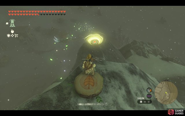 Korok Seed
