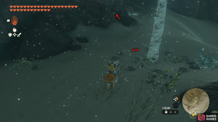 Korok Seed