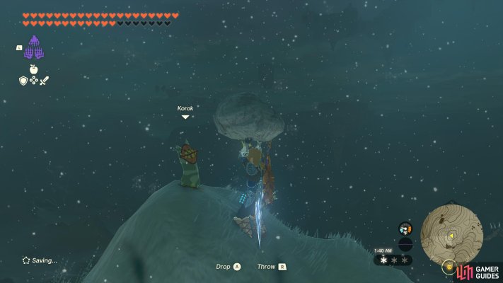 Korok Seed