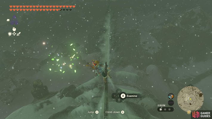 Korok Seed