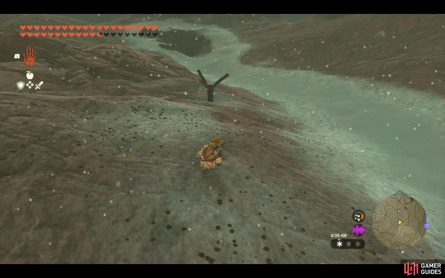 Korok Seed