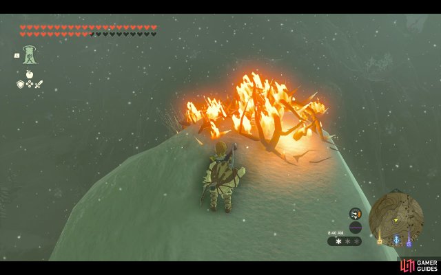Korok Seed