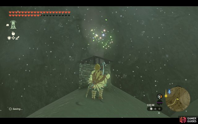 Korok Seed