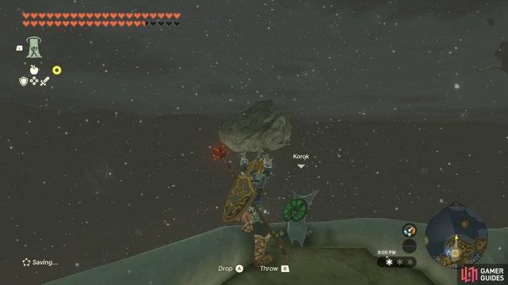 Korok Seed