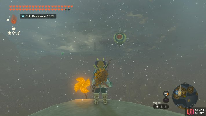 Korok Seed