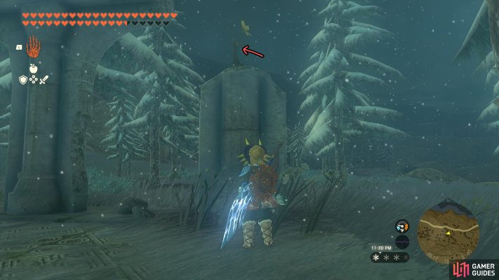Korok Seed