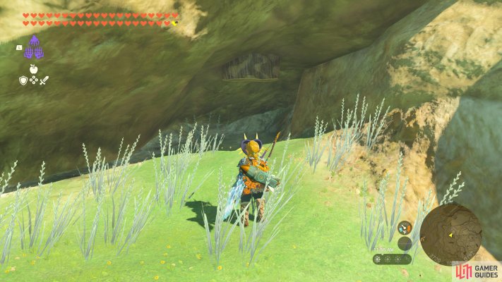Korok Seed